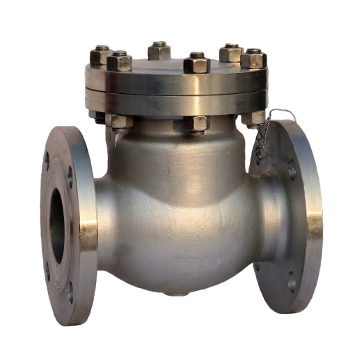 Forged Check Valve Detail